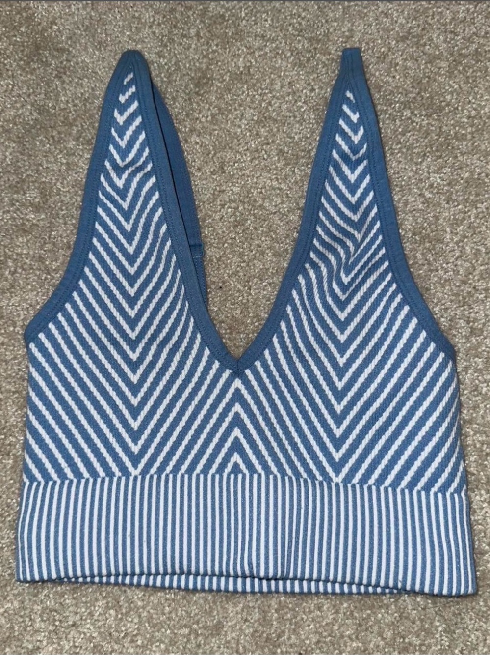 Garage Blue and White Striped Knit Tank
